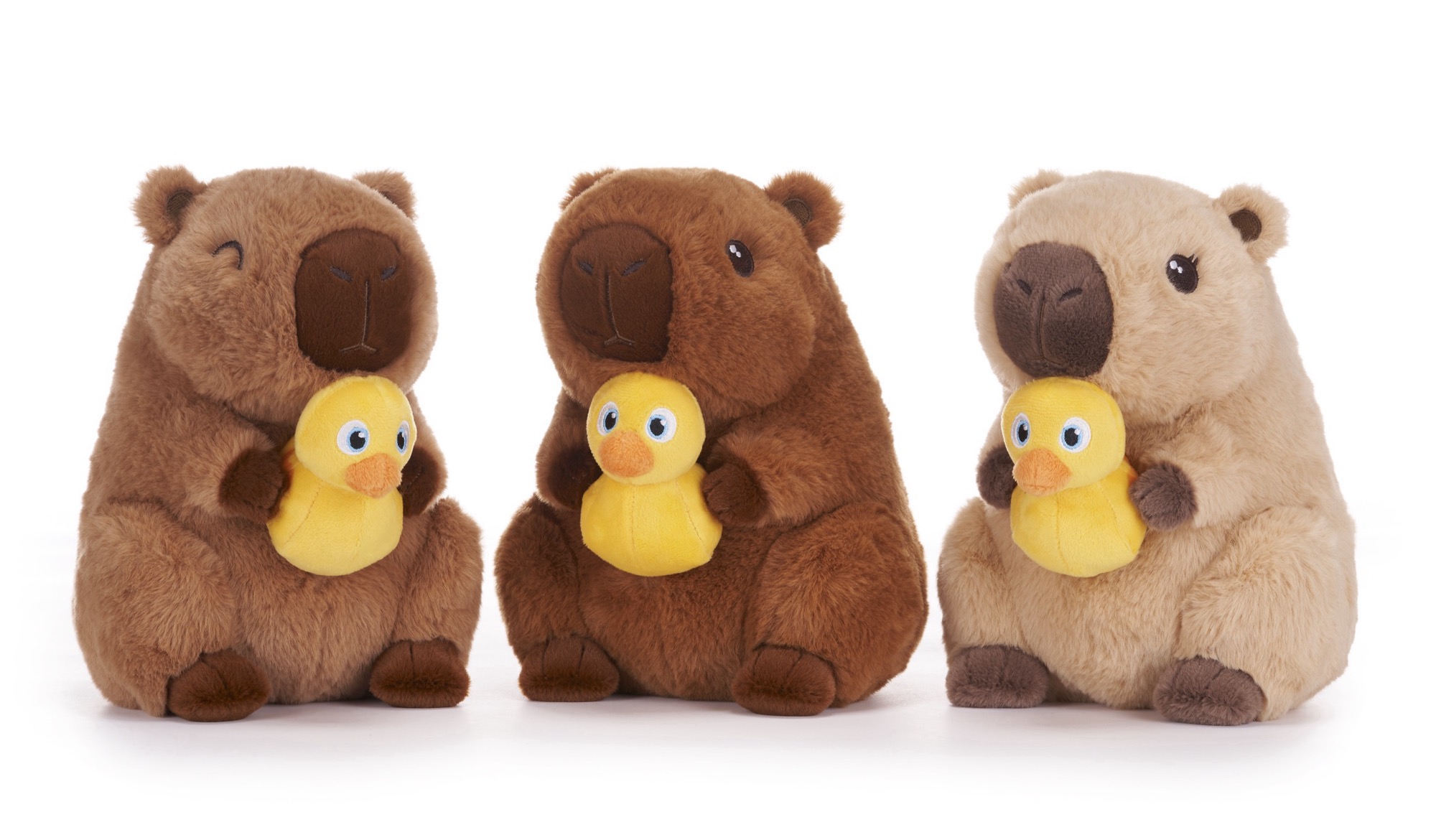 Capybara W Duck