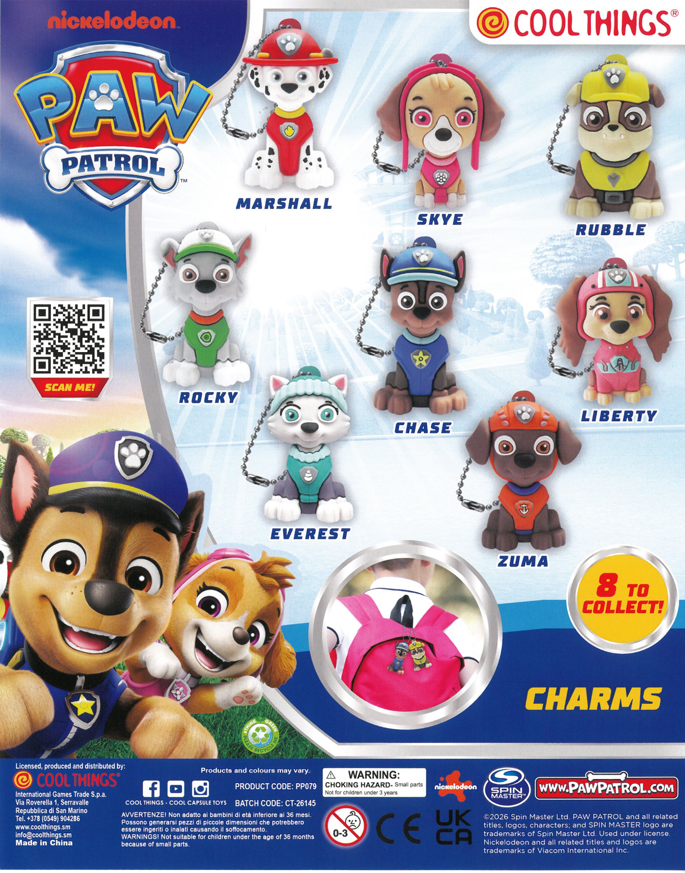 55mm Paw Patrol Charms